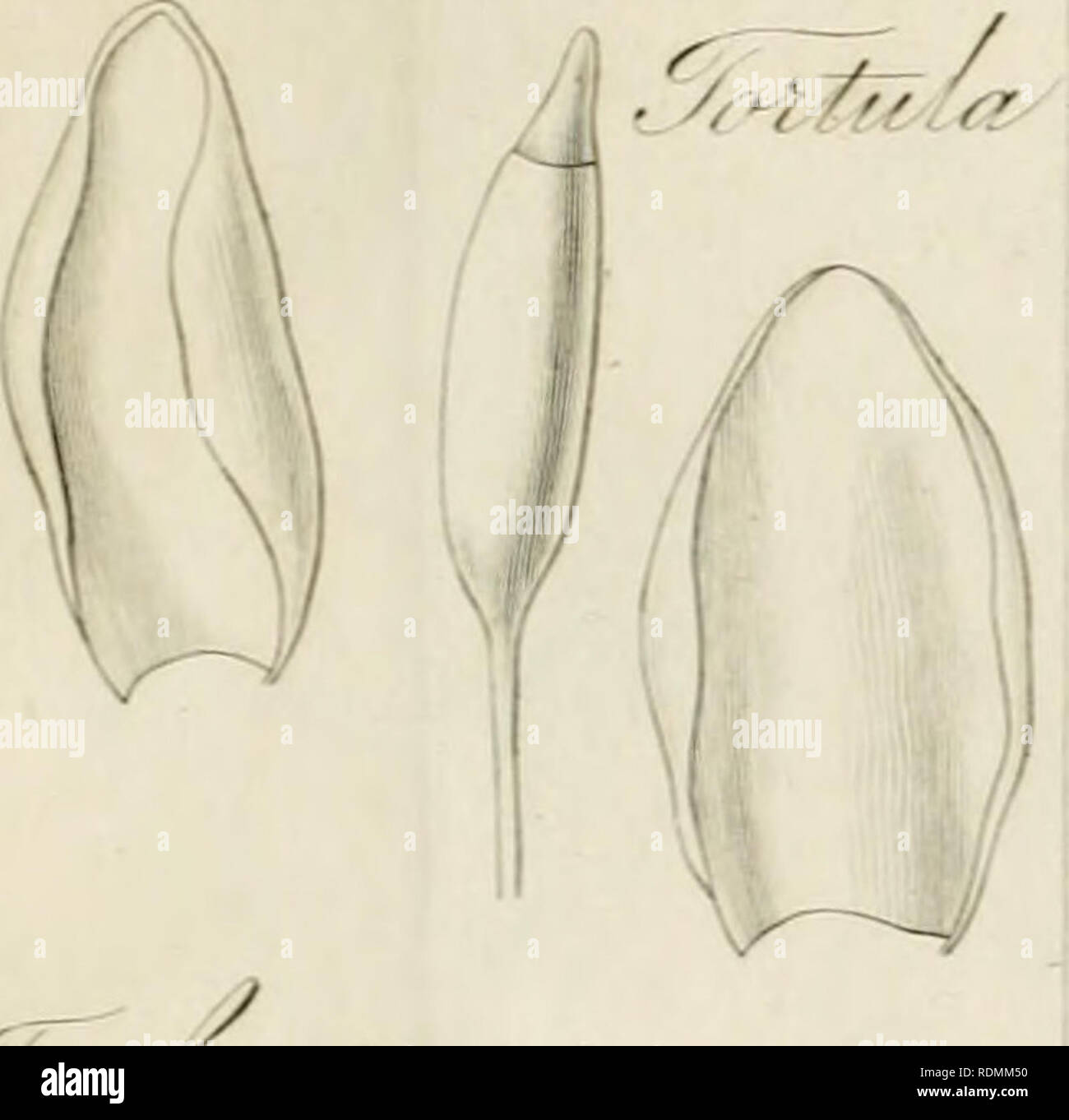 Lp 1 Stock Photos Lp 1 Stock Images Page 6 Alamy