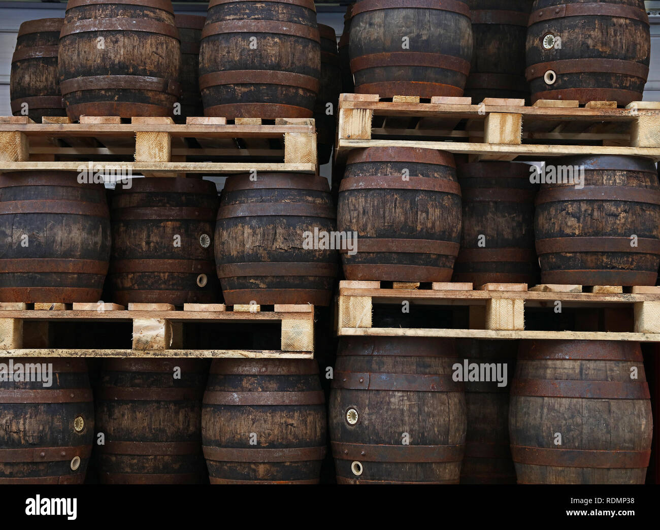 Rows of pallets with staked old grunge vintage dark oak wood barrels of craft beer at warehouse of brewery Stock Photo