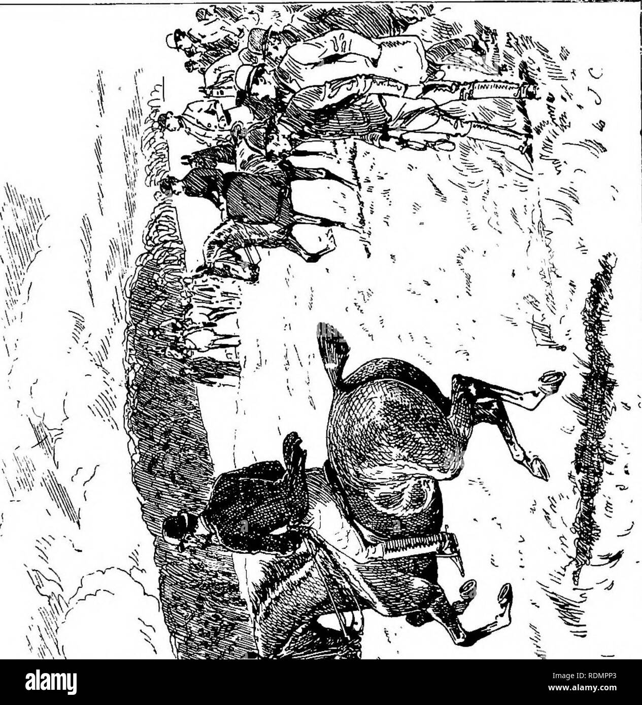 . Coursing and falconry. Coursing; Falconry. m - f^^:^. Please note that these images are extracted from scanned page images that may have been digitally enhanced for readability - coloration and appearance of these illustrations may not perfectly resemble the original work.. Cox, Harding Edward de Fonblanque, 1854-; Lascelles, Gerald William. Falconry; Richardson, Charles, ed. London and Bombay, Longmans, Green, and Co. Stock Photo