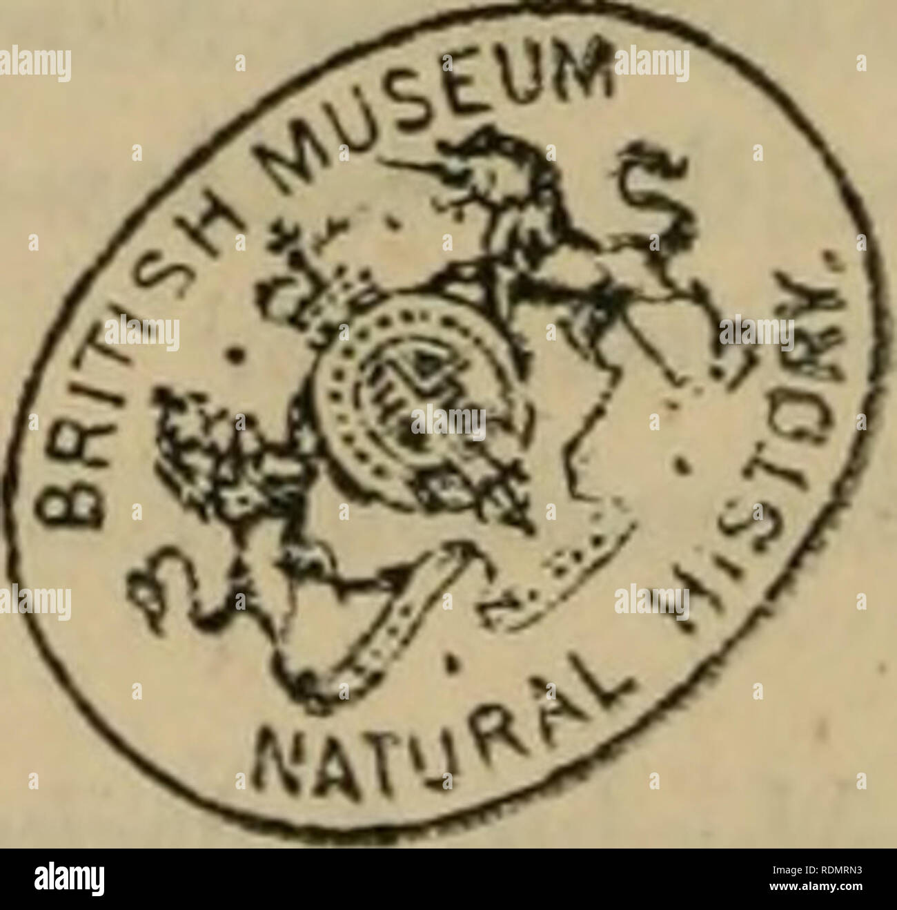 . Edinburgh New Philosophical Journal. 426 Index. Remains, organic, in tlie old red sandstone of Fife, 137.—in the coal of Wardle, near Newhaven, 146. Ripple-mark, on, 169. Rippoldsau, on, and its mineral waters, 171. Rodizite, on, a nev mineral species from Russia, 32. Sandstone, old red, on the organic remains found in the, of Fife, 137. Sang, Edward, Esq., his annual report on the state of the useful arts, 262. Schulze, F., his notice of the result of an experimental observation made regarding equivocal generation, 165. St Elmo's fire, notice of, seen in Orkney, 220. St Hilaire, M. Isidore Stock Photo