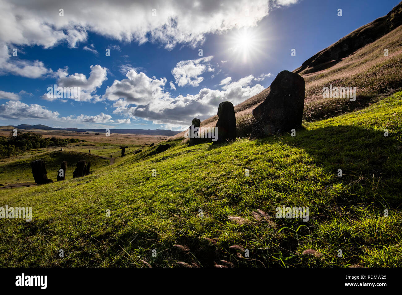 Rano Raraku Volcano, the Moais quarry where all were built on the past. Moais statues still are standing over the ground grass on an awe scenery Stock Photo