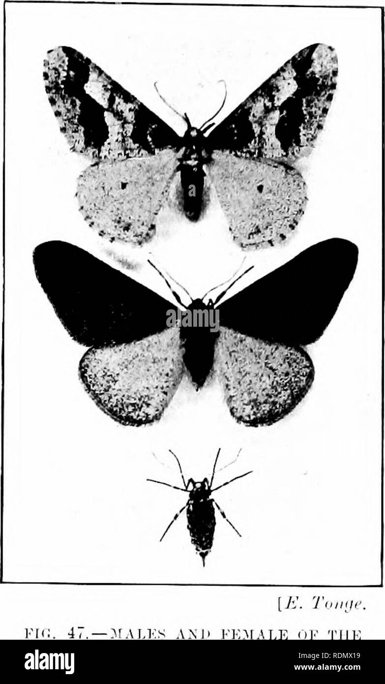 Harni Black and White Stock Photos & Images - Alamy