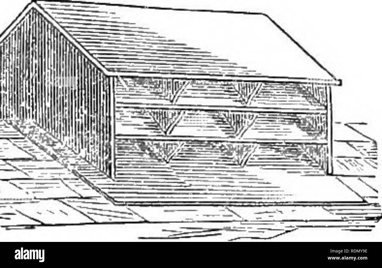 . The horse in the stable and the field: his management in health and disease ... with an essay on the American trotting horse, and suggestions on the breeding and training of trotters. Horses. VENTILATING SHAFT. horses, as shown in the above section of a stalled stable. The tube may be made of wood—and, indeed, this material is better than iron, because it does not condense the steam as it ascends nearly so much as metal, and there is less dropping of water from it. The upper end of this shaft should be guarded from down-draughts, either by a cowl which will turn with the wind, or by a covere Stock Photo