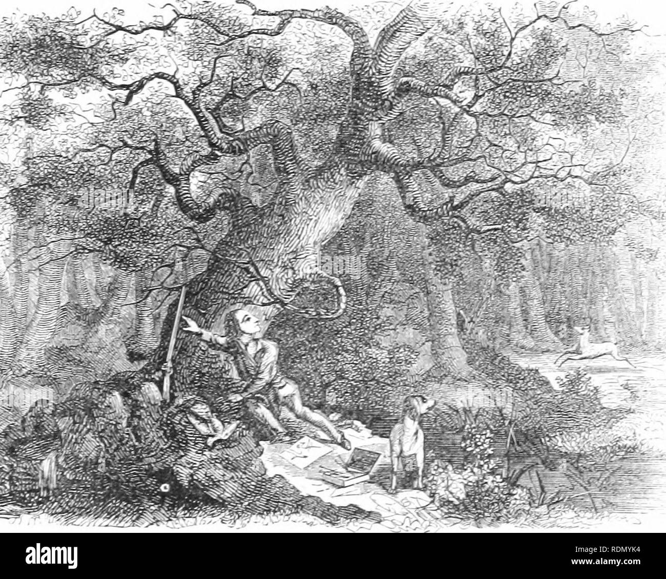 The hunter-naturalist; romance of sporting; or, Wild scenes and