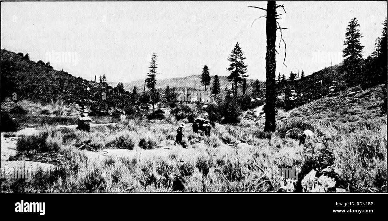 . Conservation reader. Natural resources; Forests and forestry. How the Forests Suffer from Fires 121 toward the main fire, and when they meet both must die out for lack of fuel. For many years forest fires have caused as much damage as the lumbermen; but now most of the forests are patrolled by rangers during the summer, and there are fewer serious fires. How do the fires start in the forest? It is supposed that long ago the Indians set many fires to keep the woods open for their hunting. Lightning has always been a frequent cause of forest fires. As many as a dozen fires are known to have st Stock Photo