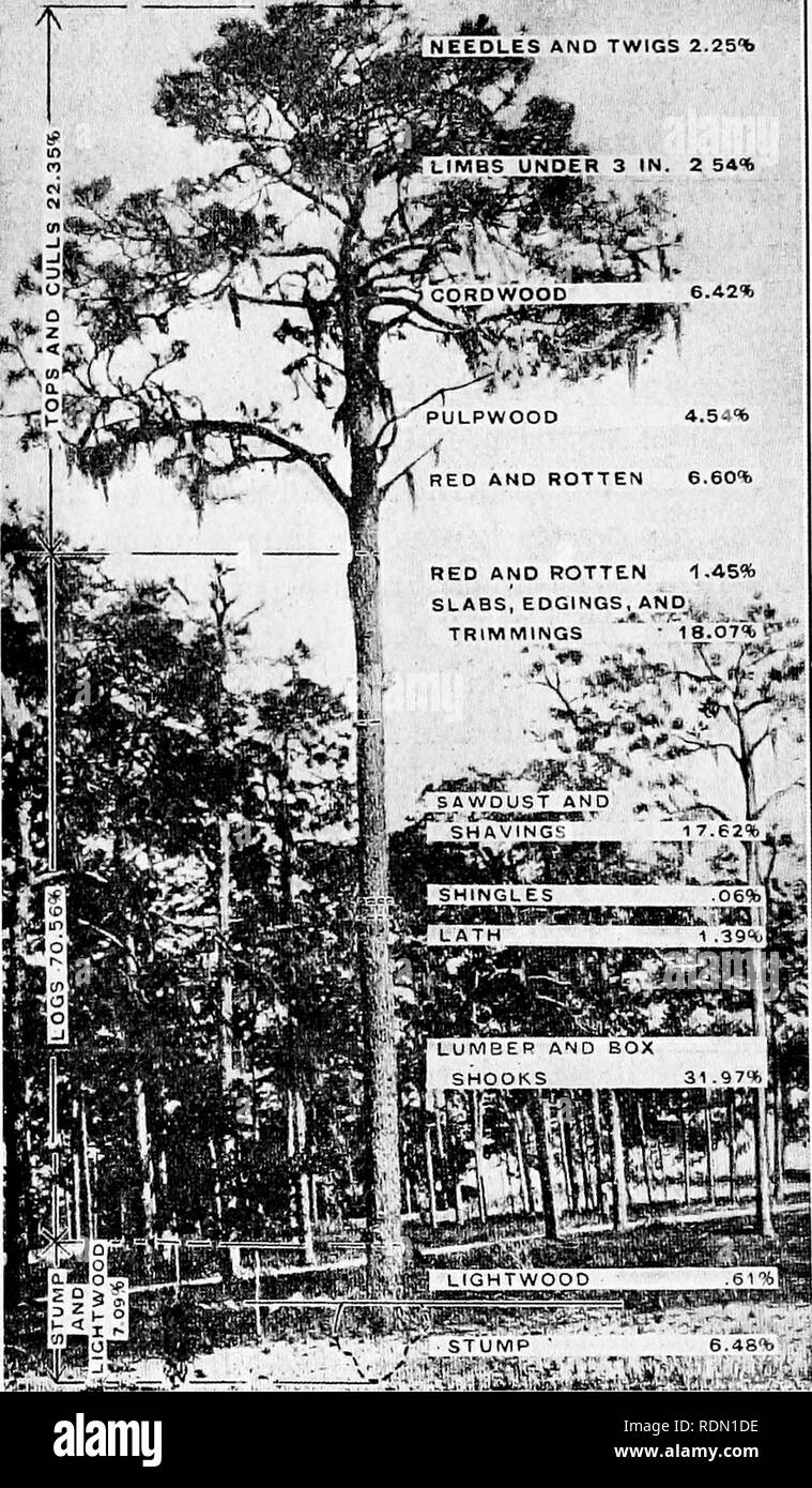 Conservation reader. Natural resources; Forests and forestry. 94 