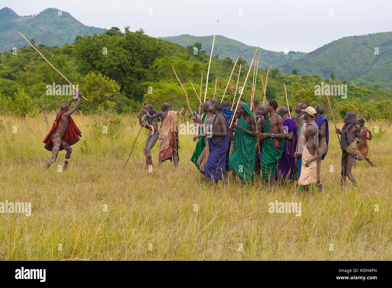 Donga stick fight ceremony, Surma tribe, Tulgit, Omo River Valley, Ethiopia, Africa Stock Photo