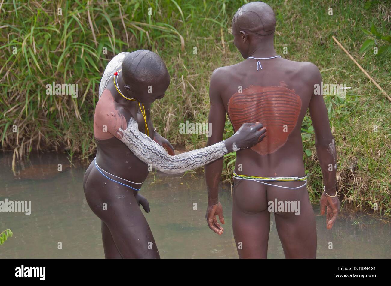 Before the Donga stick fight, the Surma warriors apply a body paint made of clay and minerals on their bodies, Surma tribe Stock Photo