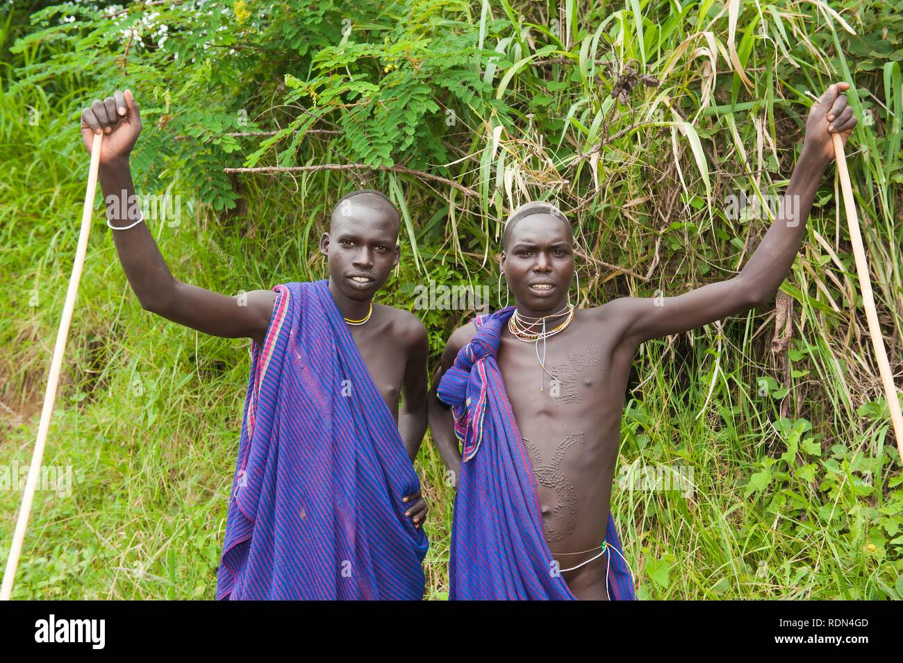Two Surma men with scarifications, Tlgit, Omo River Valley, Ethiopia, Africa Stock Photo