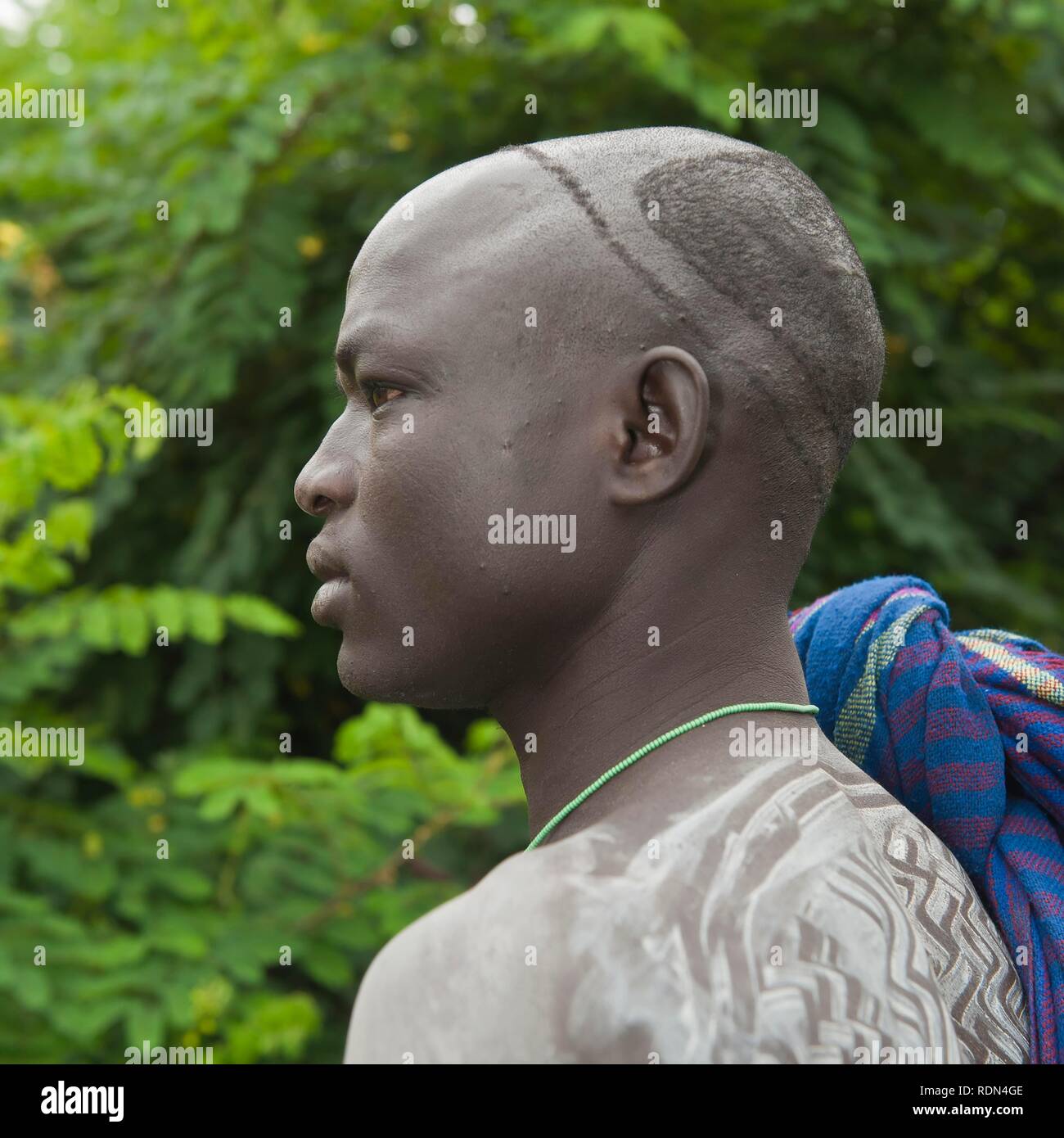 Surma man with body painting, Tulgit, Omo River Valley, Ethiopia, Africa Stock Photo