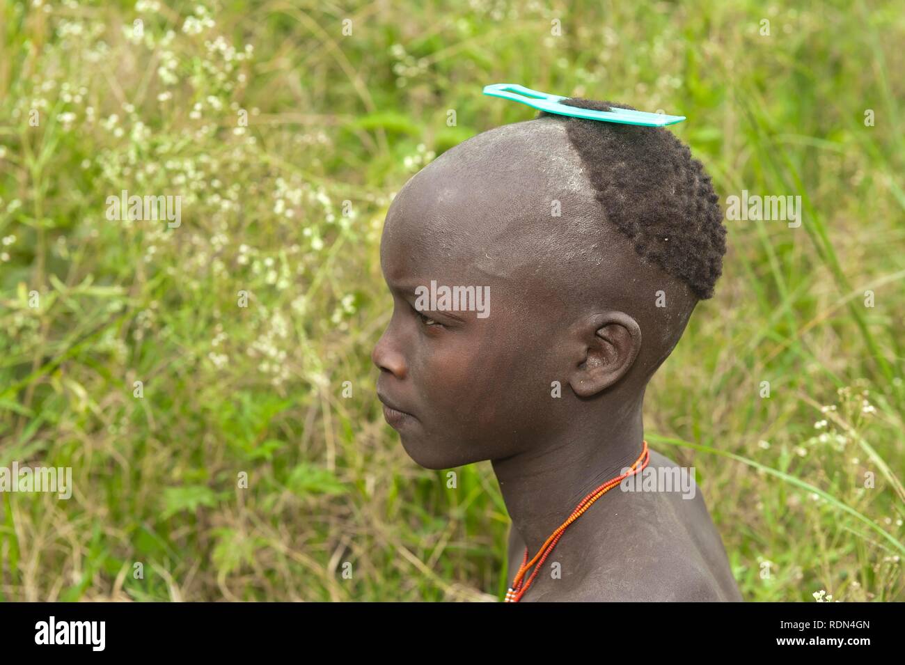 Surma boy with a comb in his hair, Tulgit, Omo River Valley, Ethiopia, Africa Stock Photo
