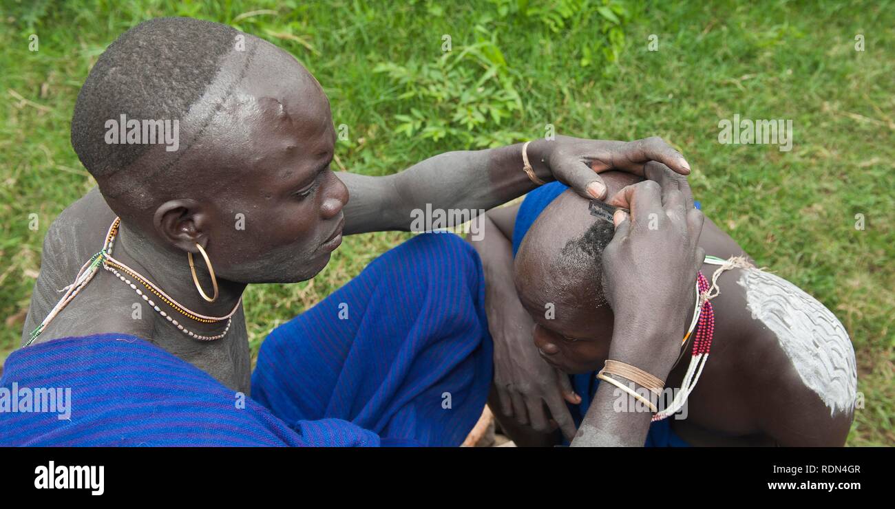 Surma man shaving his friends hair with a razor blade, Surma tribe, Tulgit, Omo River Valley, Ethiopia, Africa Stock Photo