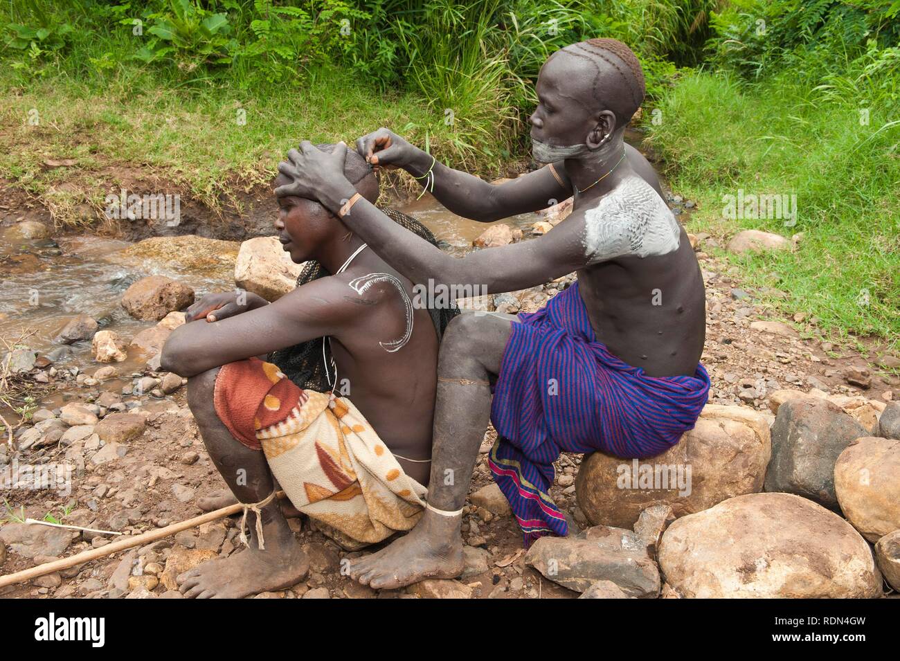 Surma man shaving his friends hair with a razor blade, Surma tribe, Tulgit, Omo River Valley, Ethiopia, Africa Stock Photo