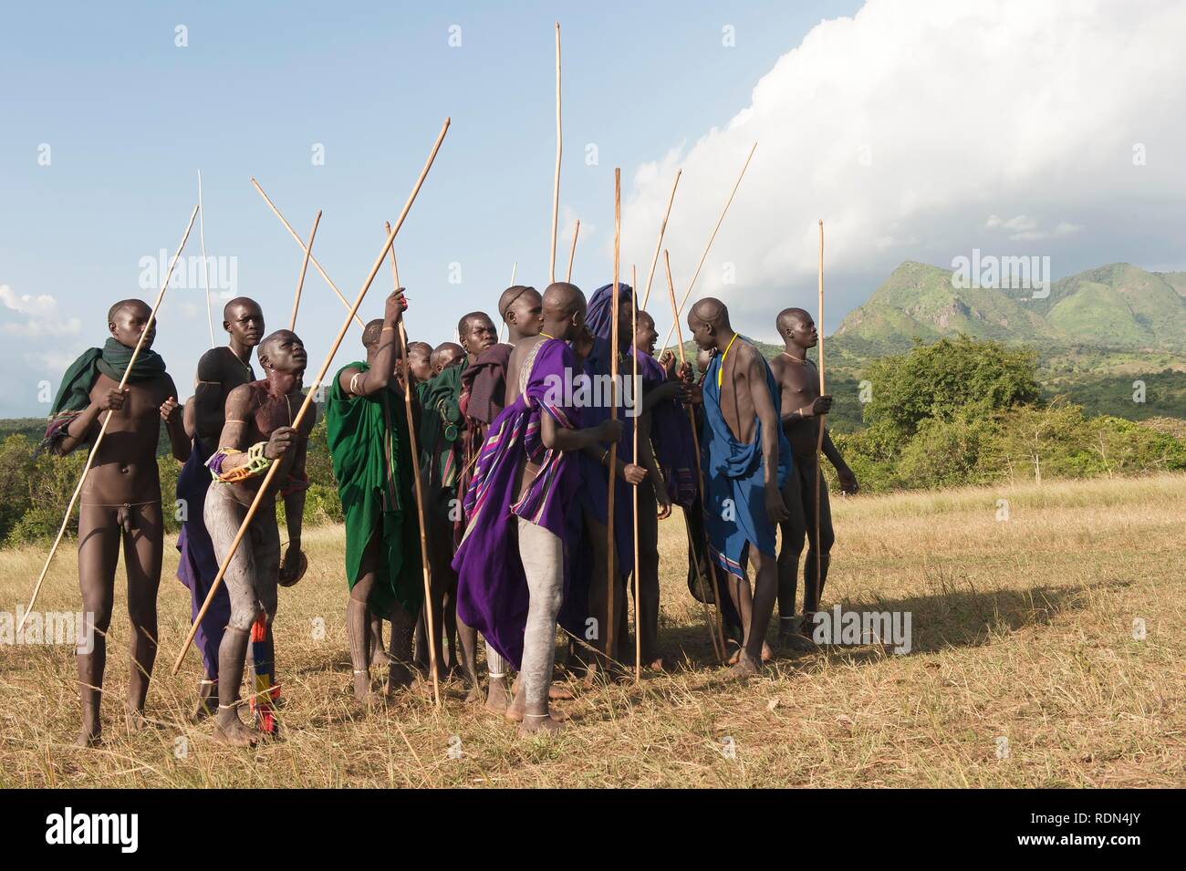 Donga stick fight ceremony, Surma tribe, Tulgit, Omo River Valley, Ethiopia, Africa Stock Photo