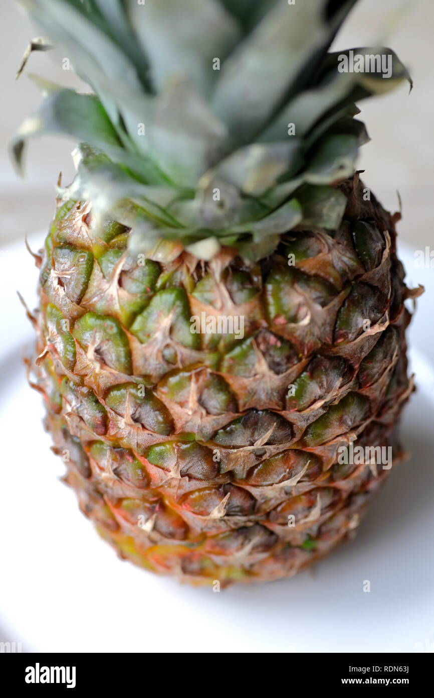 Pineapple white plate single fruit tasty summer spring Stock Photo