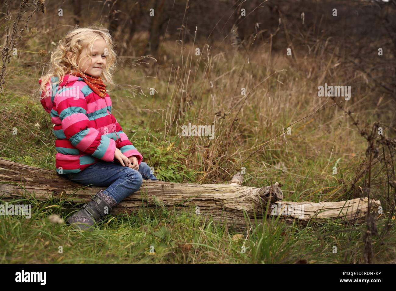 little girl sitting on a stump at the forest Stock Photo - Alamy