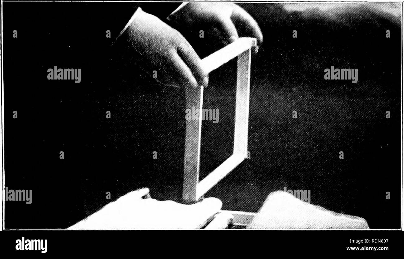 . Instruction in bee-keeping for the use of Irish bee-keepers. Bees. A. First Position.. Please note that these images are extracted from scanned page images that may have been digitally enhanced for readability - coloration and appearance of these illustrations may not perfectly resemble the original work.. Ireland. Dept. of Agriculture and Technical Instruction. London, H. M. Stationery Off. Stock Photo
