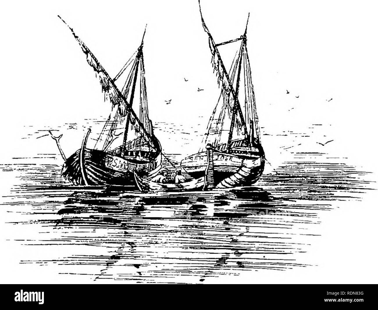 Bonanza strand hires stock photography and images Alamy