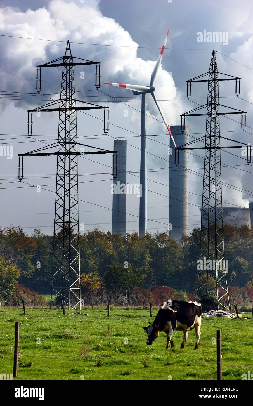 Cow grazing on a pasture, in the back a wind energy plant and smokestacks of a lignite power plant at Titz, coal mining area in Stock Photo