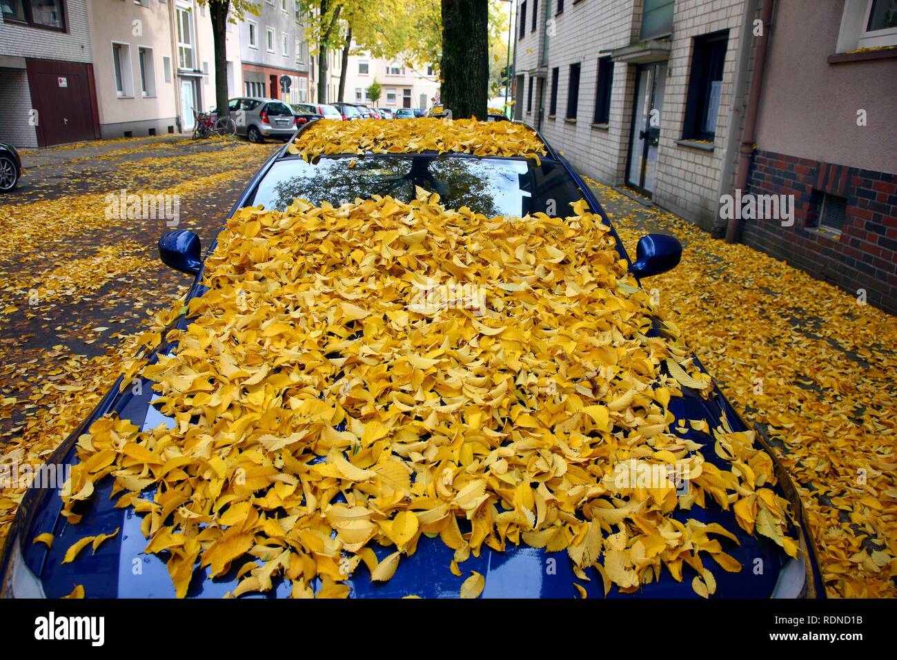 Car leaves from the parking lot hires stock photography and images Alamy