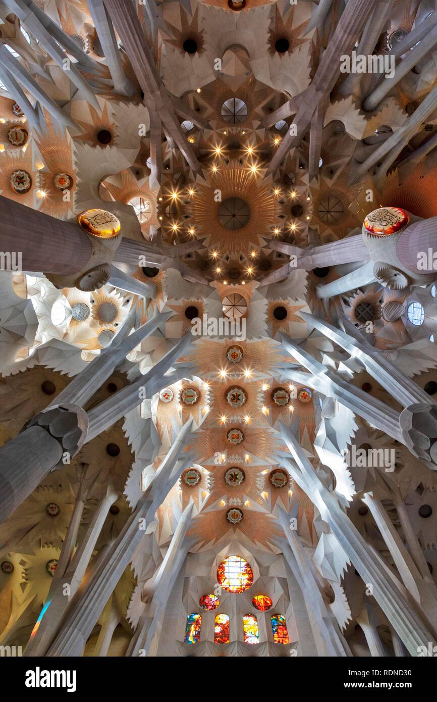 Interior view ceiling vault, Sagrada Familia by Antoni Gaudi, Barcelona, Catalonia, Spain Stock Photo