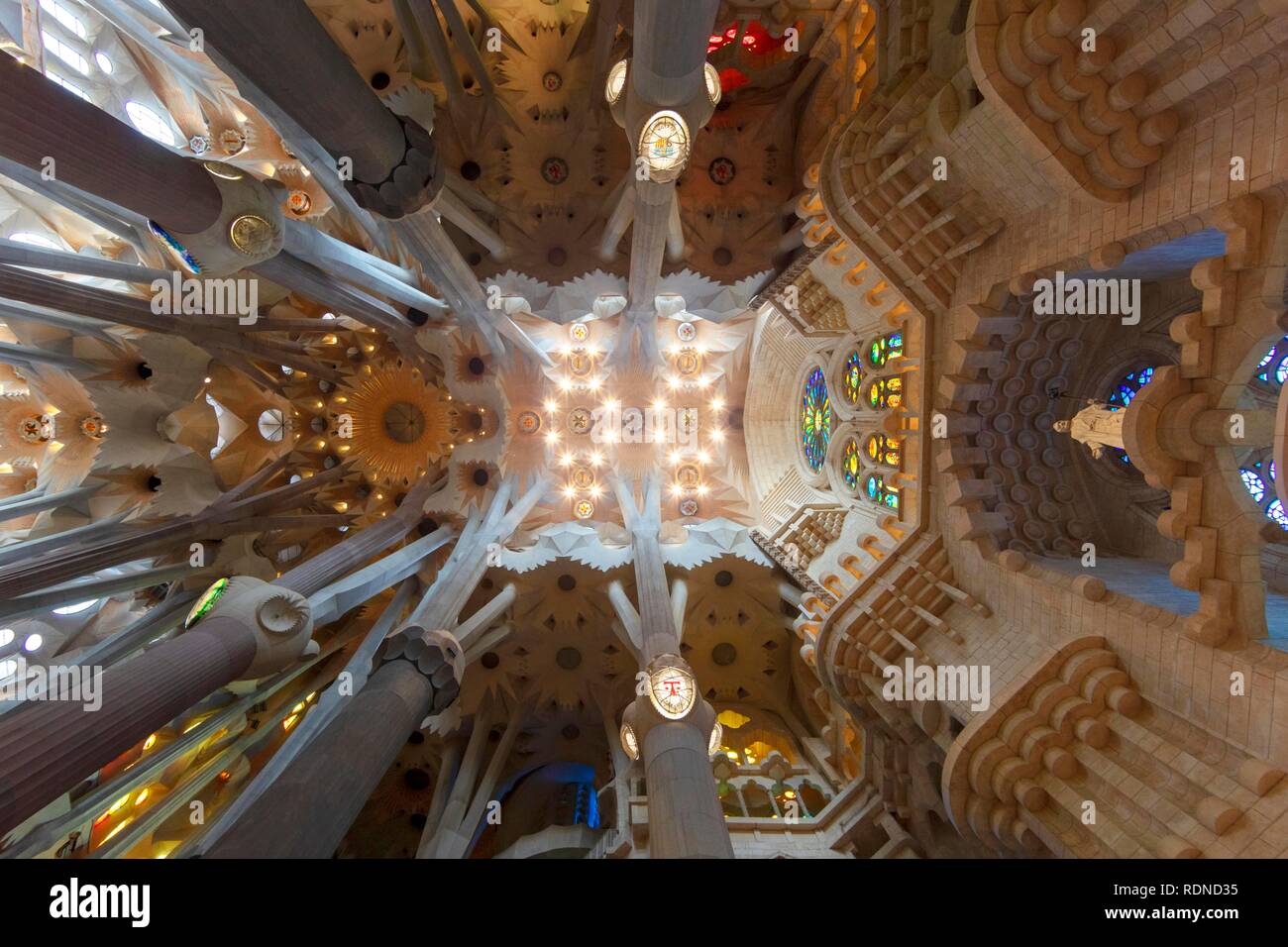 Interior view ceiling vault, Sagrada Familia by Antoni Gaudi, Barcelona, Catalonia, Spain Stock Photo