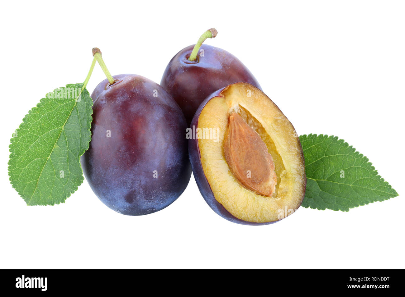 Plums plum prunes prune fresh fruits fruit autumn fall isolated on a white background Stock Photo
