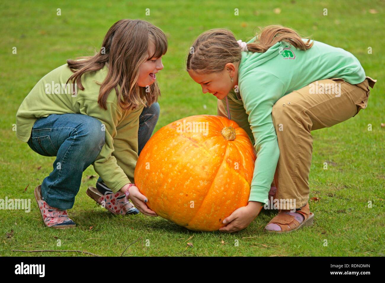 Two little girls trying to lift a very large pumpkin Stock Photo