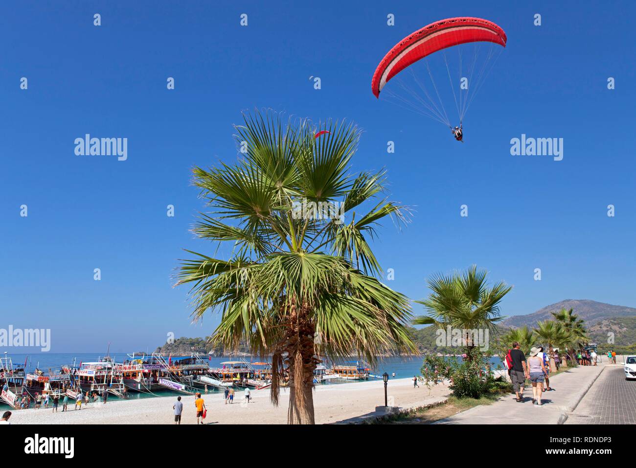 Paraglider, Oludeniz or Olu Deniz Bay near Fethiye, west coast, Turkey, Asia Stock Photo