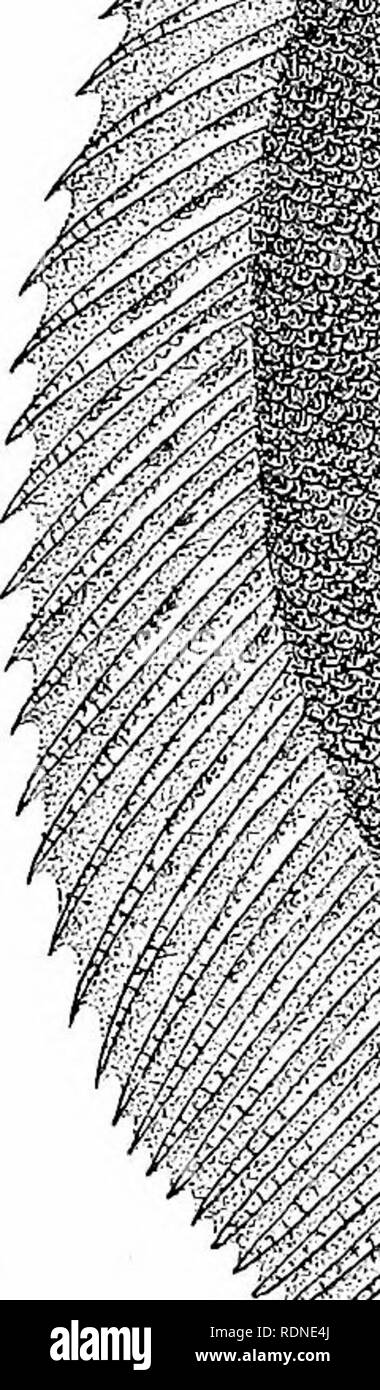 Page 2 M H High Resolution Stock Photography And Images Alamy