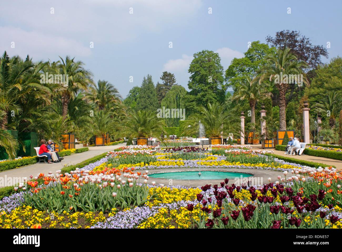 Kurpark, spa park with palm gardens, Bad Pyrmont, Lower Saxony Stock Photo  - Alamy