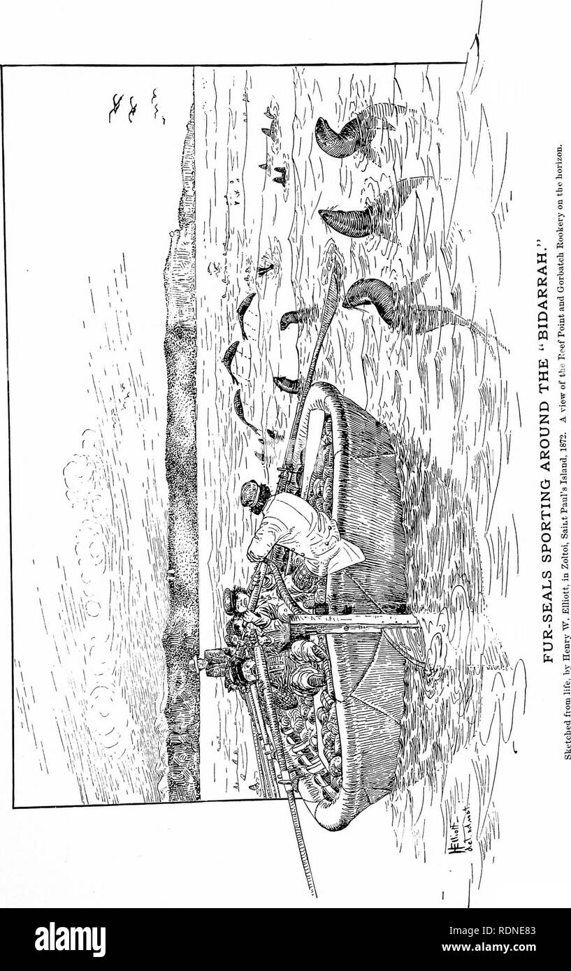 . The fisheries and fishery industries of the United States. Prepared through the co-operation of the commissioner of fisheries and the superintendent of the tenth census. Fisheries. PLATE 32.. Please note that these images are extracted from scanned page images that may have been digitally enhanced for readability - coloration and appearance of these illustrations may not perfectly resemble the original work.. Goode, G. Brown (George Brown), 1851-1896; Allen, Joel Aseph, 1828-1921; Elliott, Henry Wood, 1846-1930; True, Frederick William, 1858-1914; Ingersoll, Ernest, 1852-1946; Ryder, John Ad Stock Photo