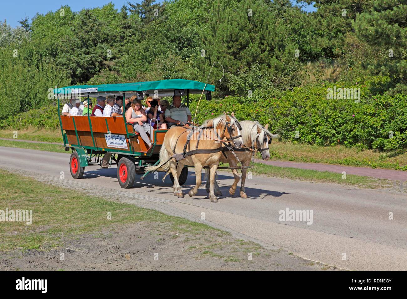 Horse carriage ride, Borkum, East Frisian Island, East Frisia, Lower Saxony Stock Photo