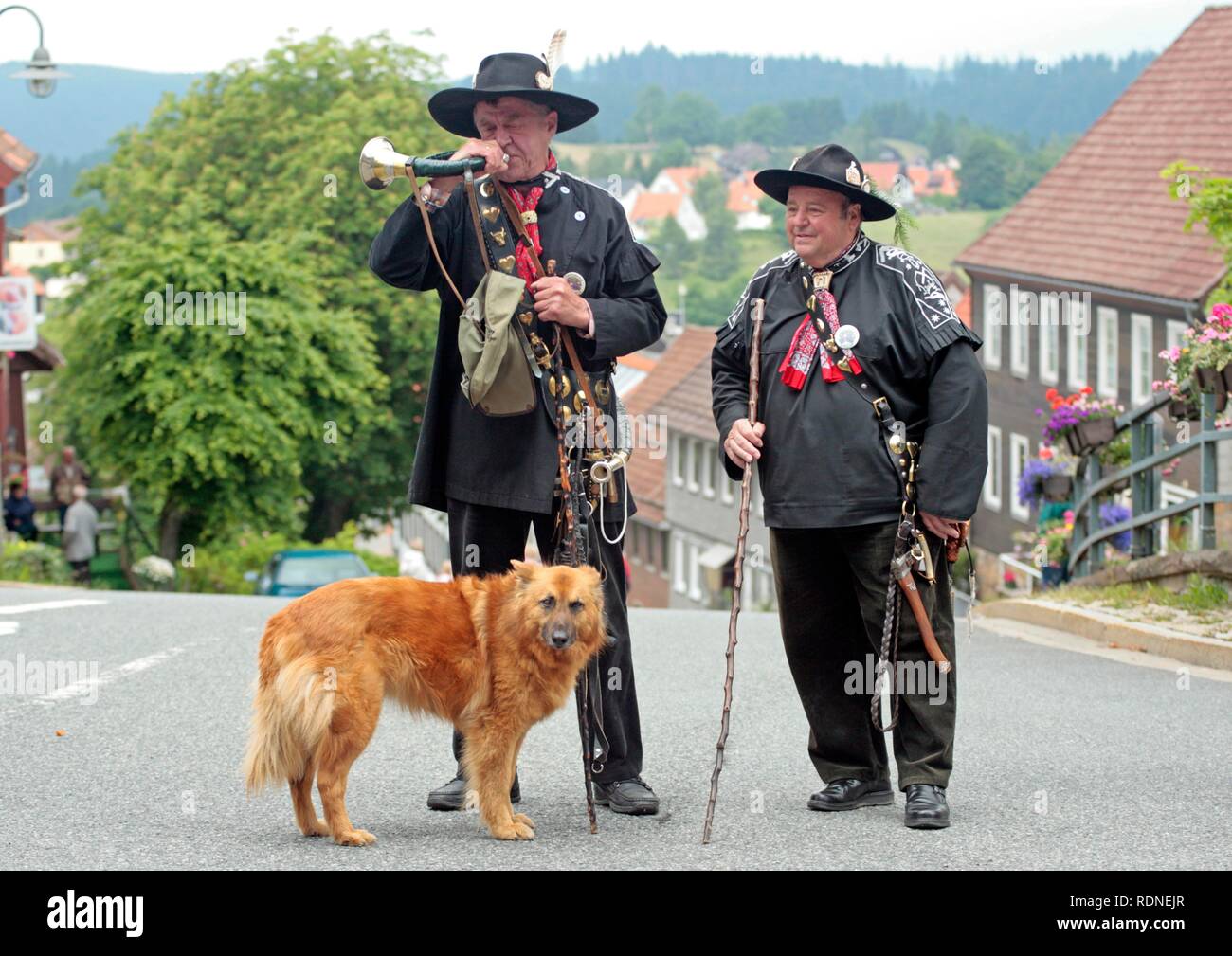 Cow herders with a herding dog, Meadow Blossom Festival, Sankt Andreasberg, Harz, Lower Saxony Stock Photo