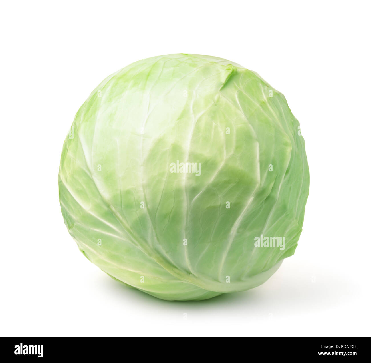 White fresh cabbage head isolated on white Stock Photo