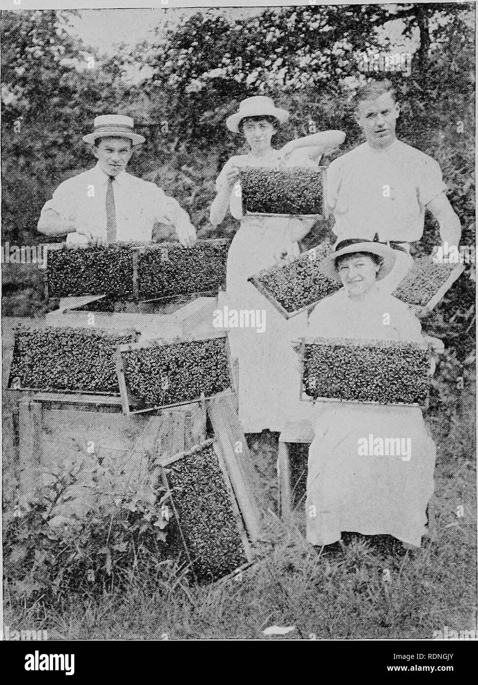 . Bee keeping. April 1919. To the disabled soldiers, sailors, and marines. To aid them in choosing a vocation. Bees. 8 ployed in the household in general cooking, as well as in canning and in the baking of many desirable kinds of bread, and numerous varieties When used in sweetening tea and Opportunity Monographs. itleresffin how ^^ ^'^^^^^ SÂ®^^' ^^^^P^' ^^^ cookies you can &quot;carry coffee it does not cause any loss of aroma. Its recent substitution for back^homeÂ°'joti sugar is causing it again to be employed in making pies, puddings, and SSs^'^eadfng the sauces. Confectioners use honey f Stock Photo
