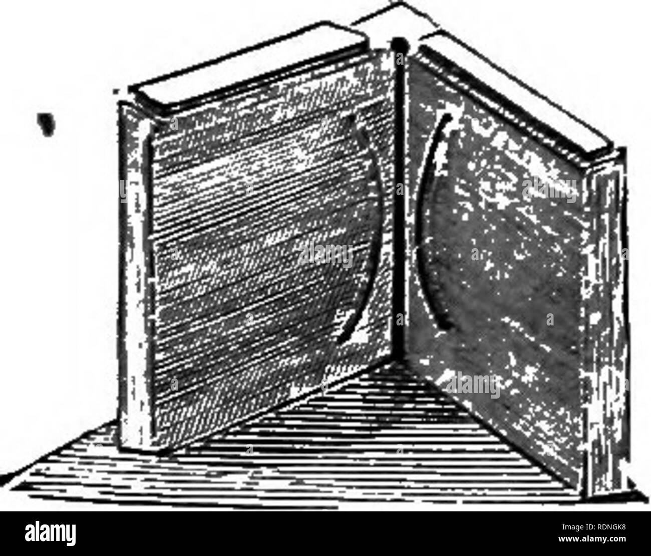 . Quinby's new bee-keeping. The mysteries of bee-keeping explained. Combining the results of fifty years' experience, with the latest discoveries and inventions, and presenting the most approved methods, forming a complete guide to successful bee-culture. Bees. HIVES AND BOXES. 119 box ia exact position over the posts, for nailing. This completes the block. The inside of one corner of such a block is shown in fig. 42. Now, to put the box together, place a post in each corner of the block, lay the bottom in place, and nail each comer with inch-finishing nails. If the springs for holding the pos Stock Photo