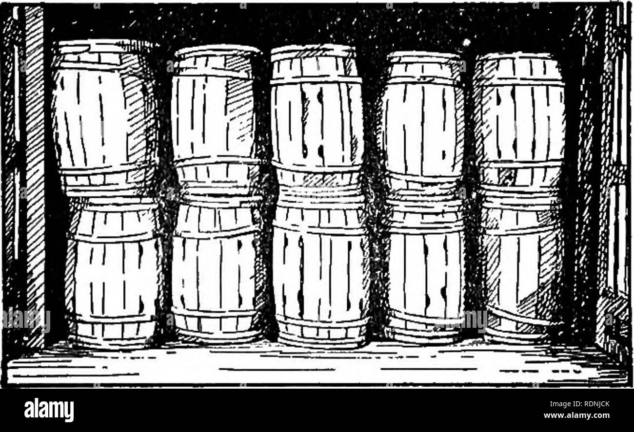 . The sweet potato; a handbook for the practical grower. Sweet potatoes. FlGTJBE 44.— Barrels loaded on their bilge crosswise of the car. Note that the barrels on the fourth layer should have been against the wall on the right.. FiGUBE 45.— Double-headed ventilated barrels loaded on end. Strips should have been placed between the layers in this load. layer placed directly on top of the first row, taking care throughout the car to keep the barrels tight against each. Please note that these images are extracted from scanned page images that may have been digitally enhanced for readability - colo Stock Photo