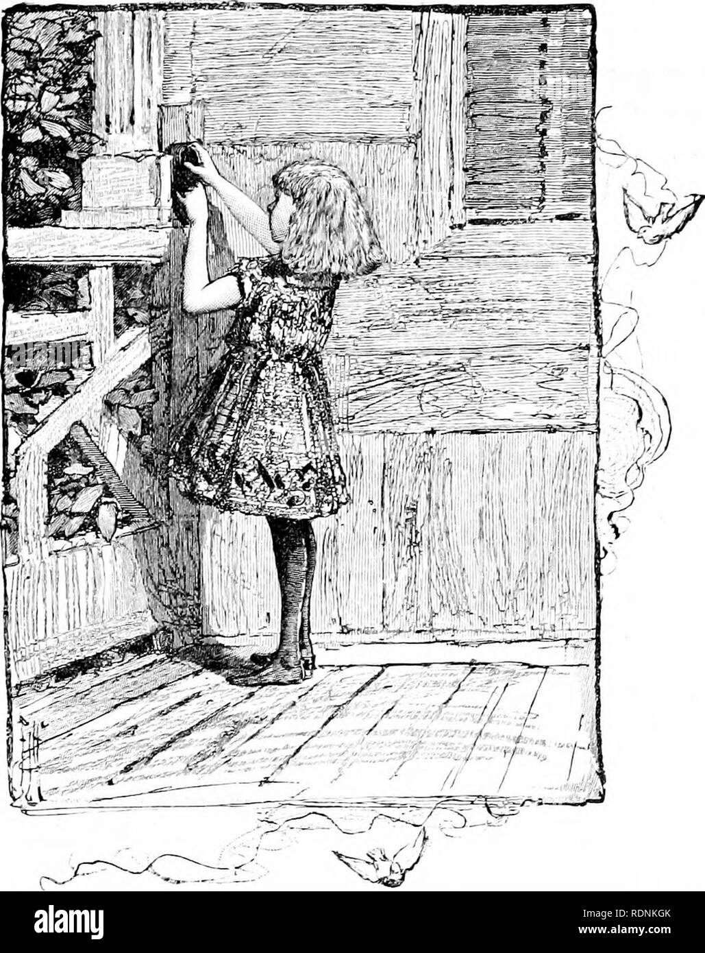 . Four feet, two feet, and no feet; or, Furry and feathery pets, and how they live. Animal behavior. THE NEW NEST. &quot;Oh!&quot; said Janet. &quot; There is a stone in my shoe! Oh-ee! It hurts. I must take it off.&quot; So little girl Janet sat down on the door-step, and took off her shoe. Sure enough, there was a tiny- sharp stone. She shook it out, and Avas rubbing her foot, when suddenly little boy Billy came running by. &quot; &quot;Where are you going, Billy boy? &quot; asked Janet. &quot; Down to the barn, Jenny girl,&quot; answered Billy, without stop- ping. &quot; There is a new calf Stock Photo