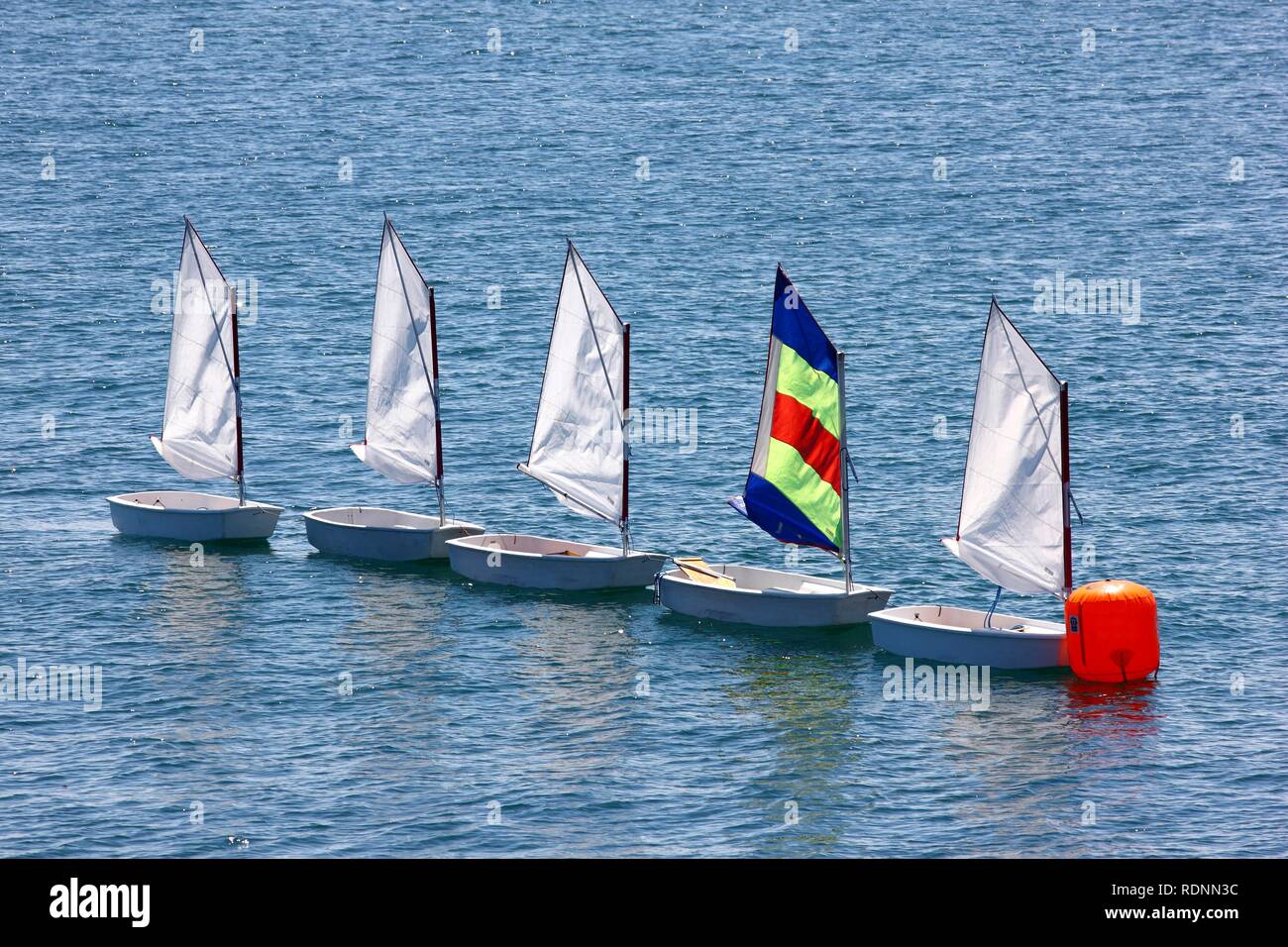 Small Optimist dinghies, sailing school, sailing lessons for children Stock Photo