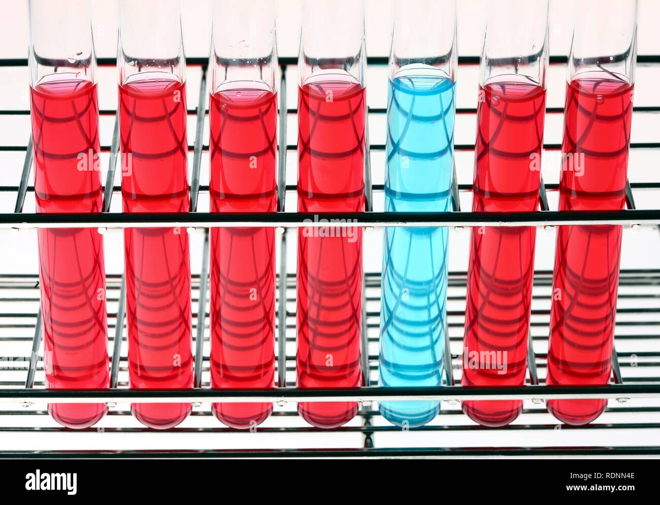 Chemicals in test tubes Stock Photo Alamy