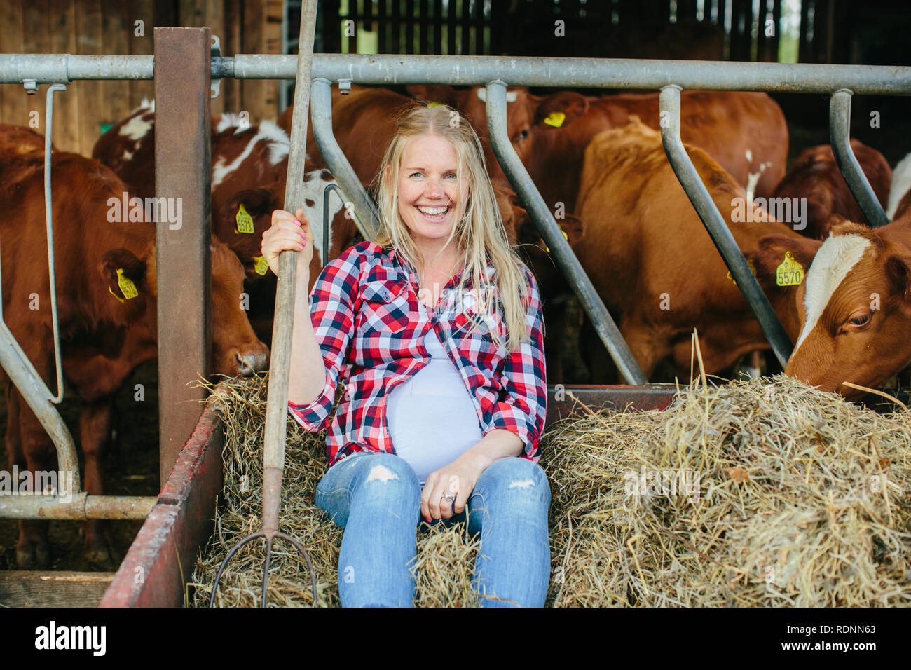Pregnant woman on farm Stock Photo Alamy