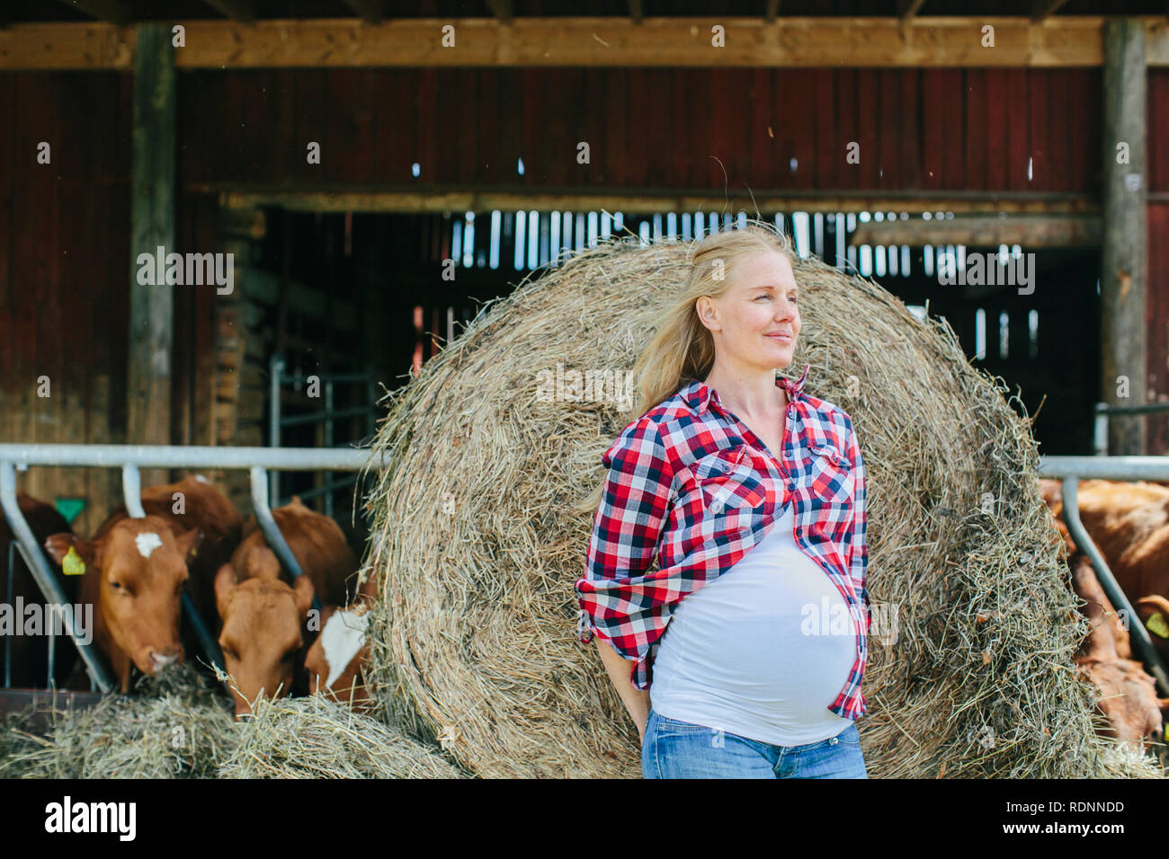 Pregnant woman on farm Stock Photo Alamy