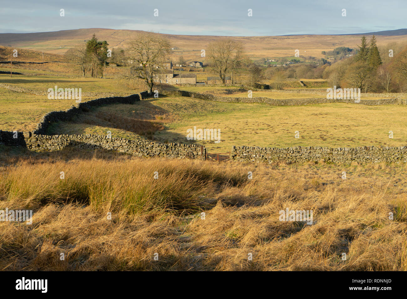 View from Pennine way at Garrigill Stock Photo