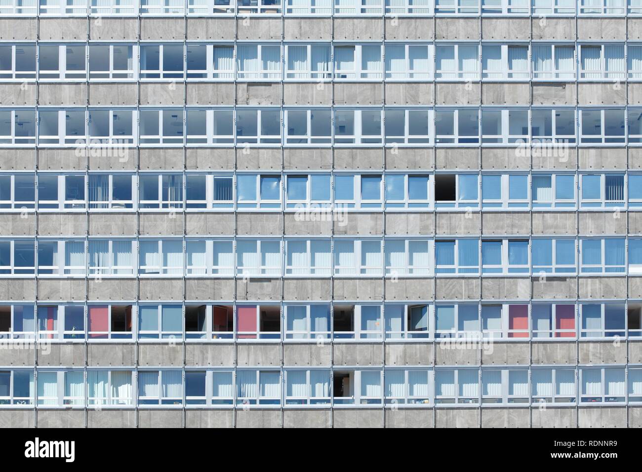 Window front at an office building, Frankfurt am Main, Hesse, Germany Stock Photo