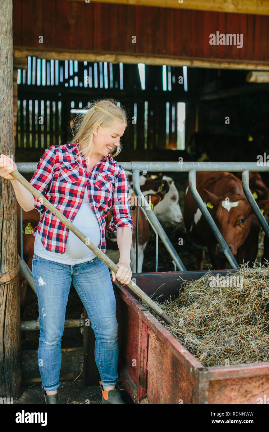 Pregnant woman working on farm Stock Photo Alamy
