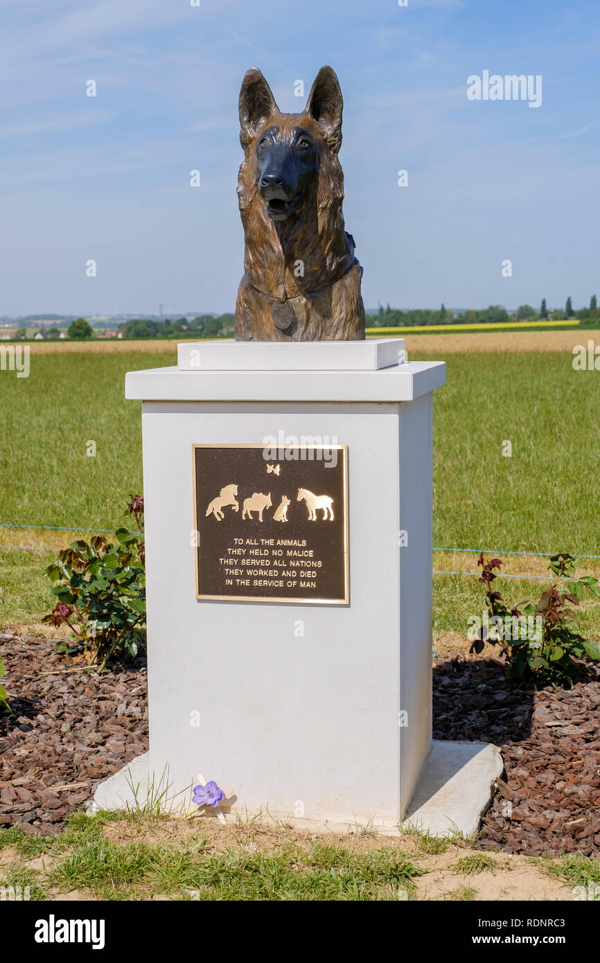The World War 1 Animal War Memorial, Pozieres, France. Stock Photo