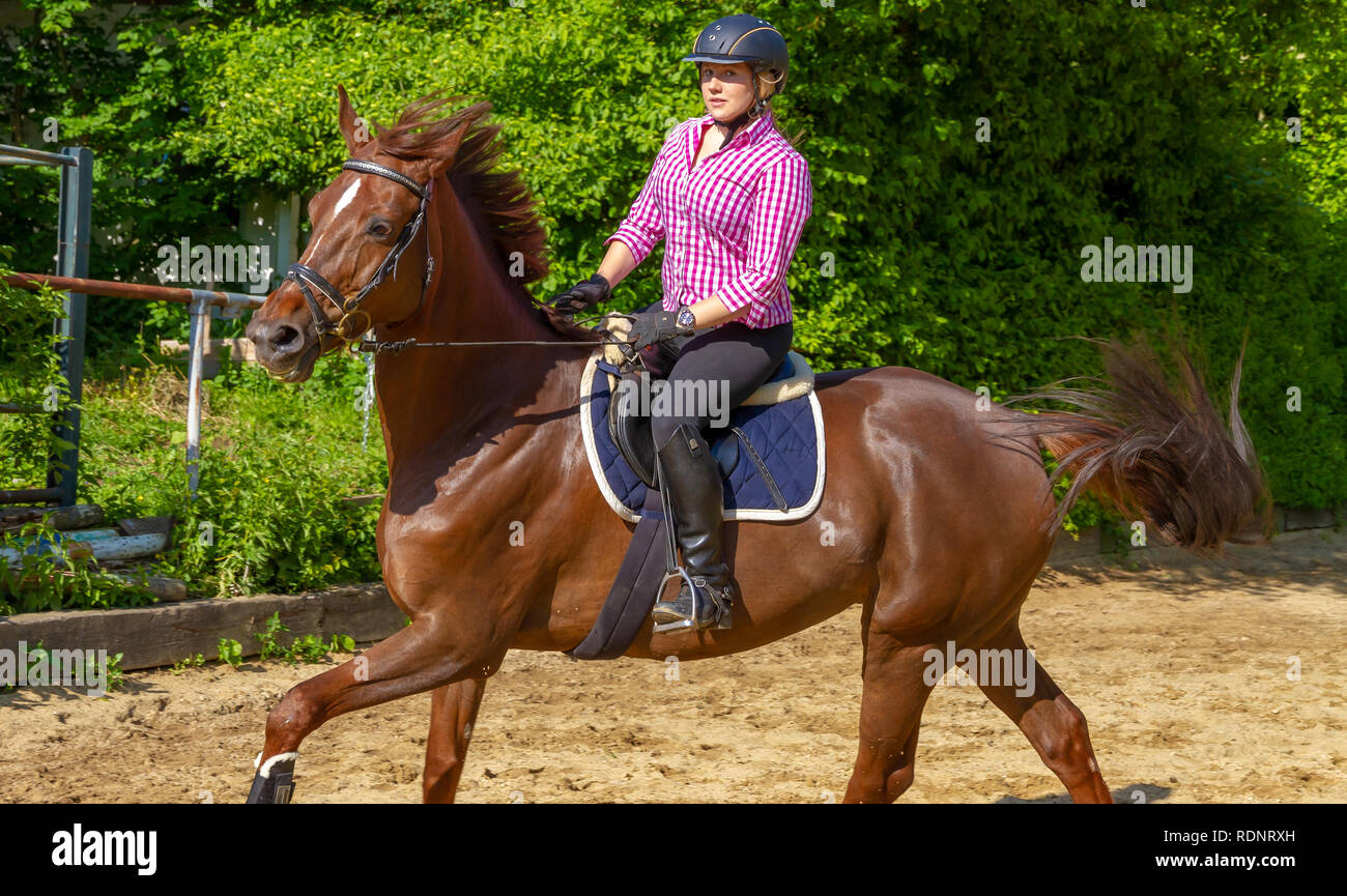 Young woman horseback riding Stock Photo - Alamy
