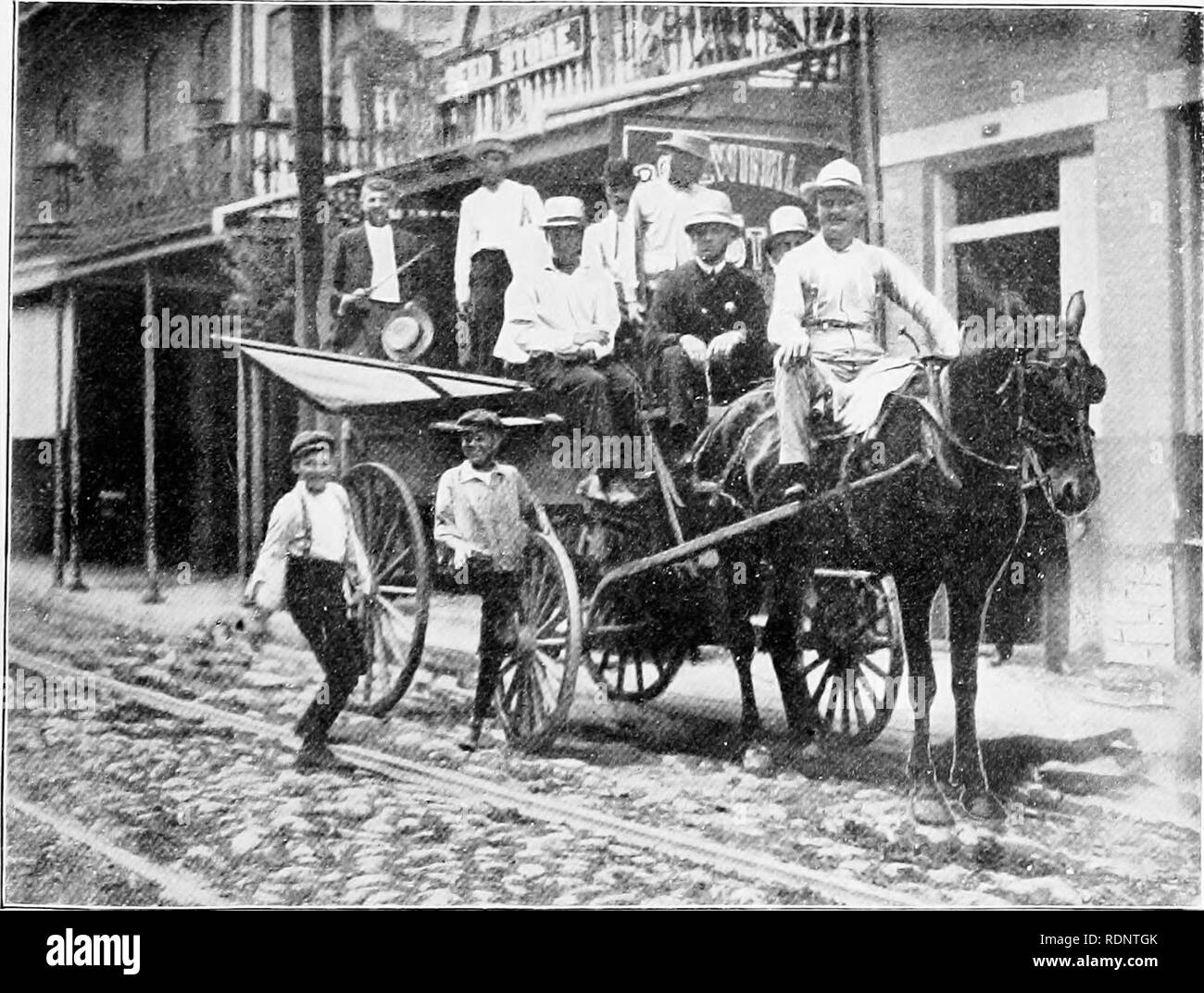 Yellow Fever Prophylaxis In New Orleans 1905 Yellow Fever