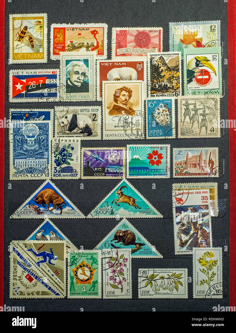 unique stamps stock photos